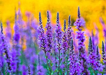 《生化4》《野狗子》！分析师盘点即将发售的恐怖游戏